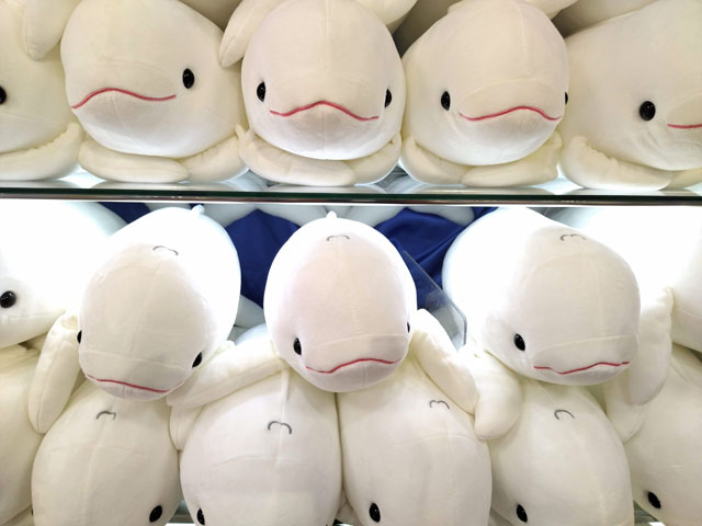 飼育員が監修したかわいいぬいぐるみ/宮島水族館（広島県／廿日市）