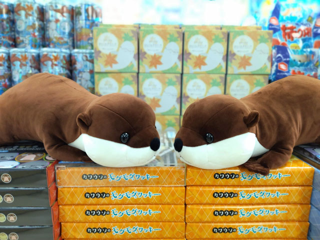 もちもちコツメカワウソぬいぐるみ/宮島水族館（広島県／廿日市）