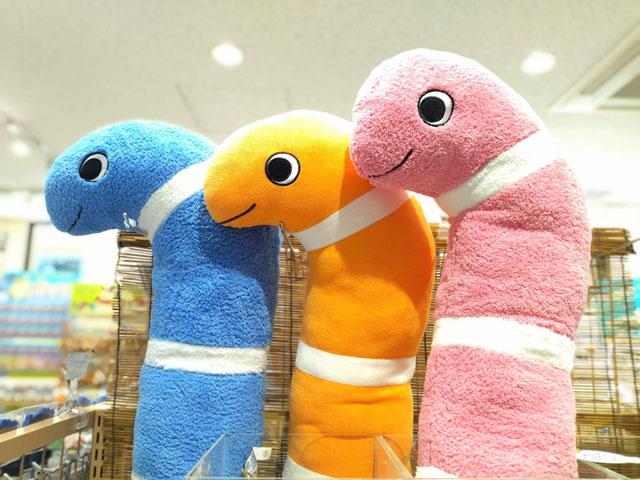 ニシキアナゴの「抱き枕」/宮島水族館（広島県／廿日市）