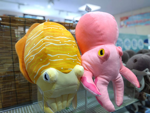イカとタコの「ふわふわぬいぐるみ」/宮島水族館（広島県／廿日市）