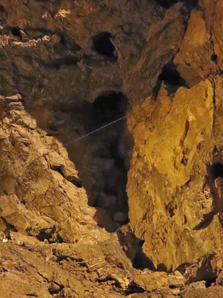 岩の間にテングコウモリがいる場合も/河内の風穴（滋賀県／多賀町）