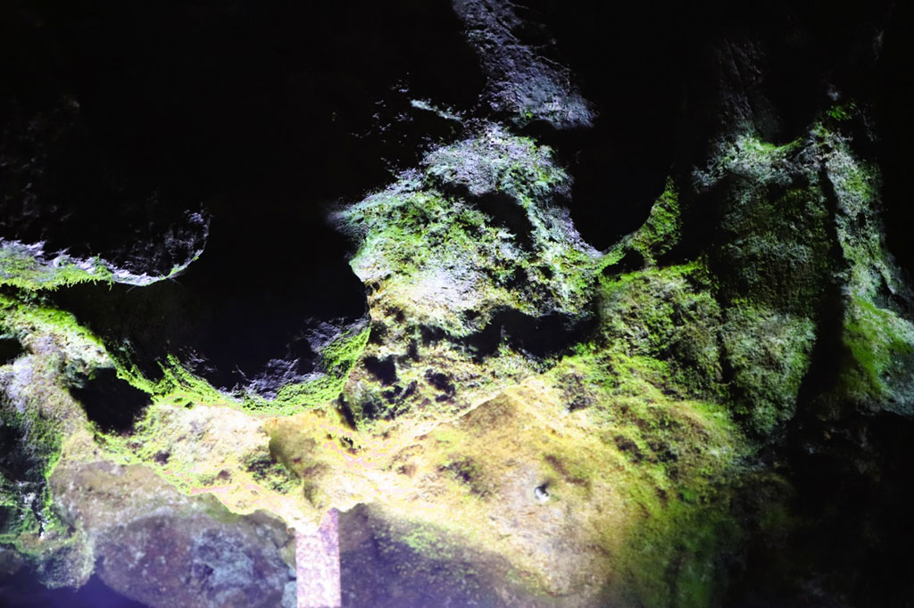 照明のわずかな灯りで苔が育っている/河内の風穴（滋賀県／多賀町）
