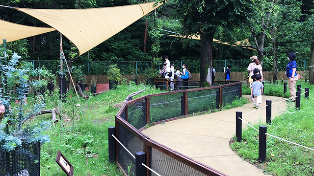 「クオッカアイランド」/埼玉県こども動物自然公園（東松山市）