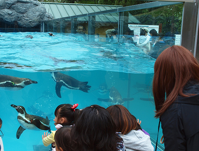 ペンギンヒルズ/埼玉県こども動物自然公園（東松山市）