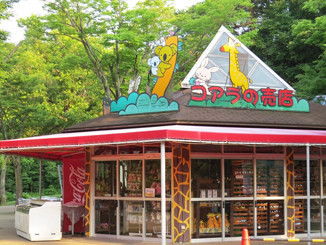 コアラの売店/埼玉県こども動物自然公園（東松山市）