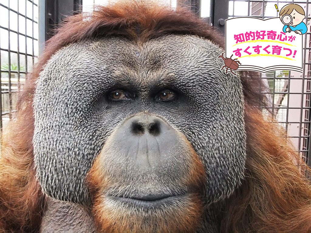 市川市動植物園（千葉県）