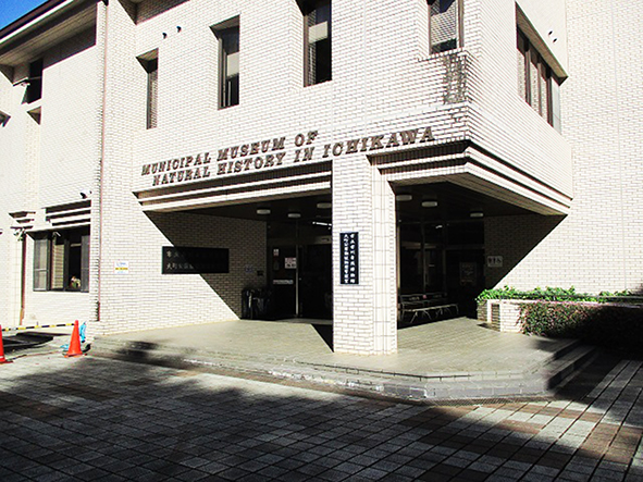自然博物館/市川市動植物園（千葉県）