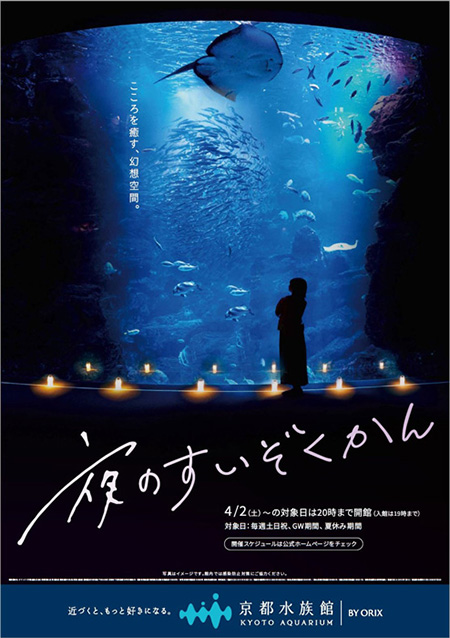 夜のすいぞくかん／京都水族館（京都府/京都市）