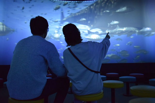 SUPER 3D 360エネゴンシアター/白浜エネルギーランド（和歌山県/白浜町）