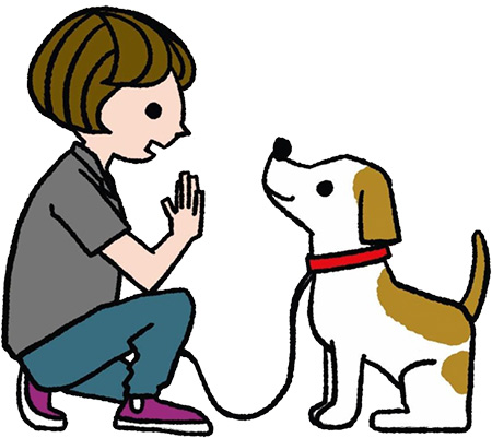 飼い犬をしつける専門家　ドッグトレーナー