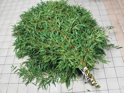 竹の処理作業/アドベンチャーワールド(和歌山県/白浜町)