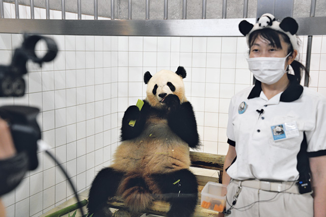 「オンラインツアー」の様子/アドベンチャーワールド(和歌山県/白浜町)