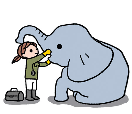動物たちの健康を守る!獣医師