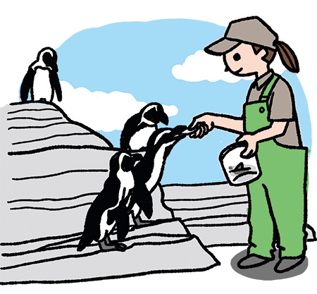 水族館の飼育員