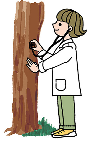 樹木医