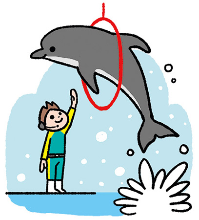 ドルフィントレーナー