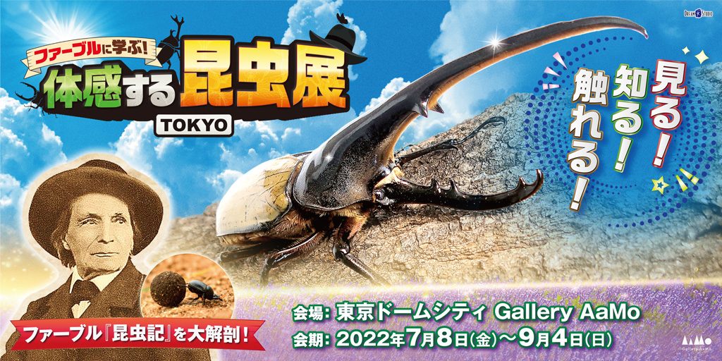 ファーブルに学ぶ！体感する昆虫展TOKYO/東京ドームシティ Gallery AaMo（ 東京都/文京区）