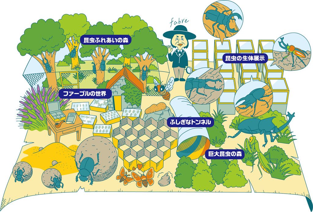 館内の様子　※イメージ/『ファーブルに学ぶ！体感する昆虫展TOKYO』東京ドームシティ Gallery AaMo（ 東京都/文京区）