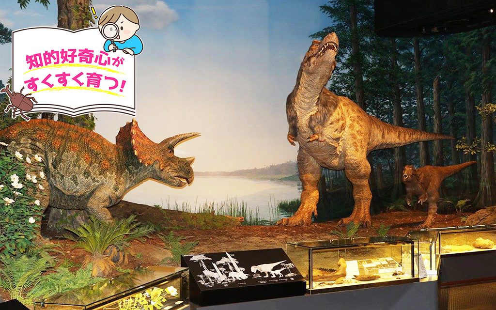 ミュージアムパーク茨城県自然博物館（坂東市）