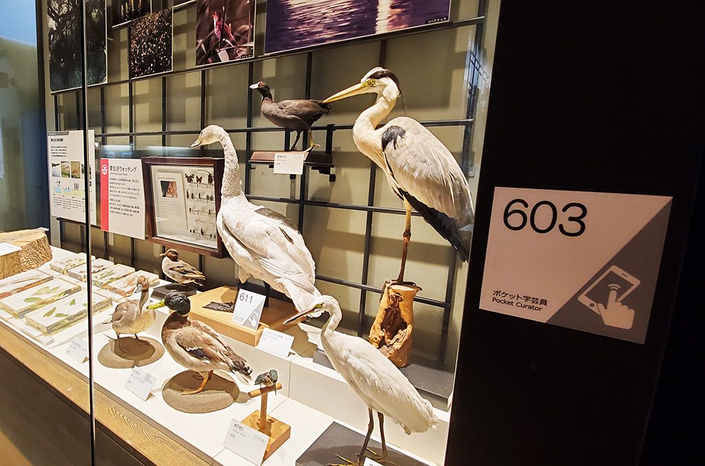 展示ガイドシステム「ポケット学芸員」/ミュージアムパーク茨城県自然博物館（坂東市）