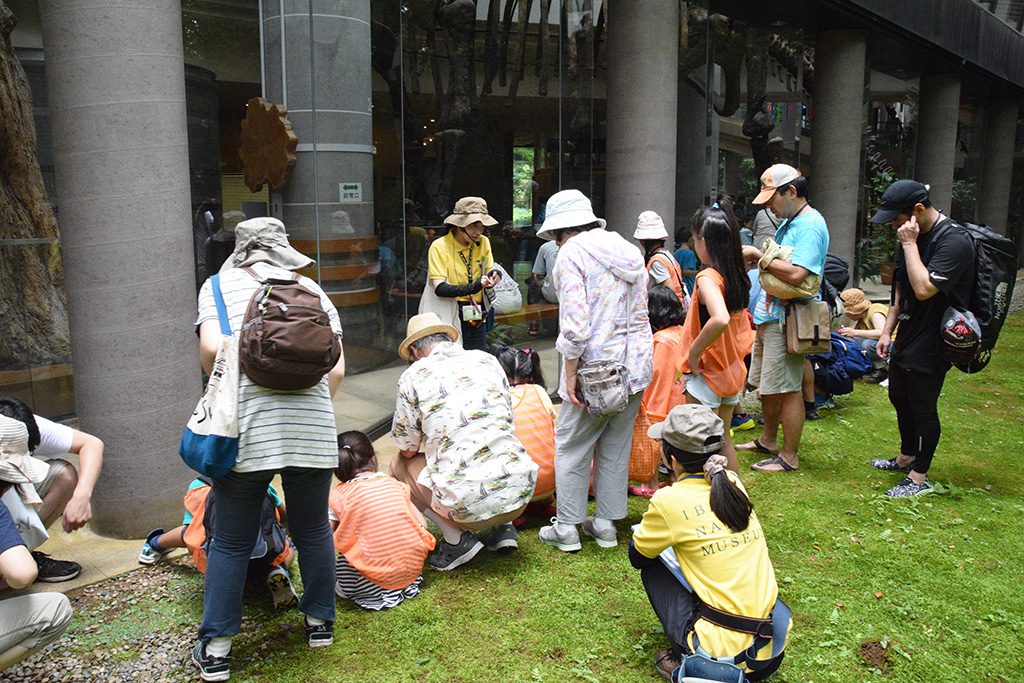 ネイチャーガイドの様子/ミュージアムパーク茨城県自然博物館（坂東市）