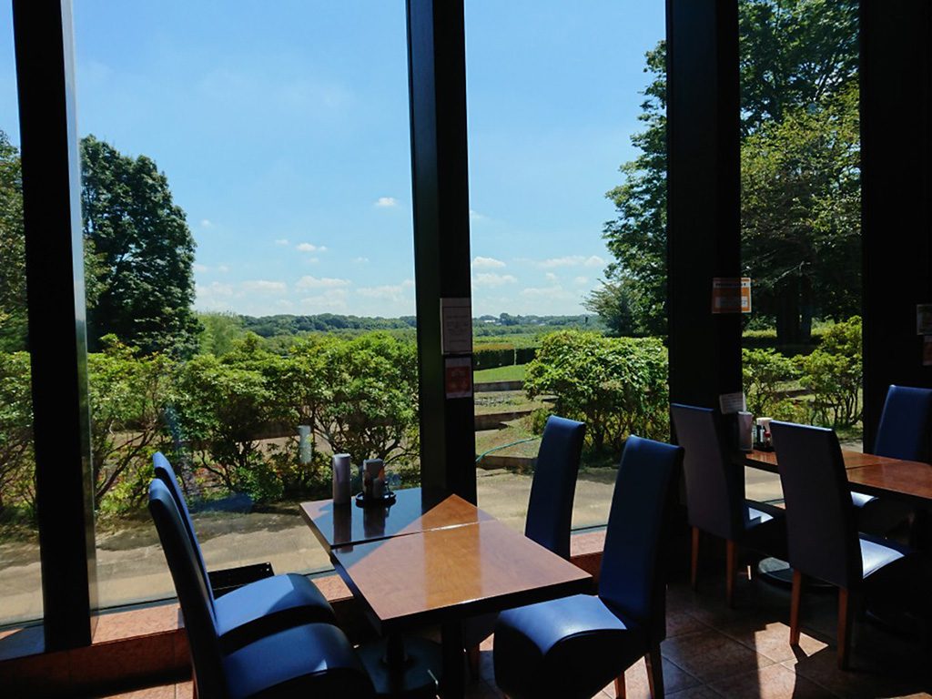 自然光が差し込み景色も楽しめる開放的なレストラン/ミュージアムパーク茨城県自然博物館（坂東市）