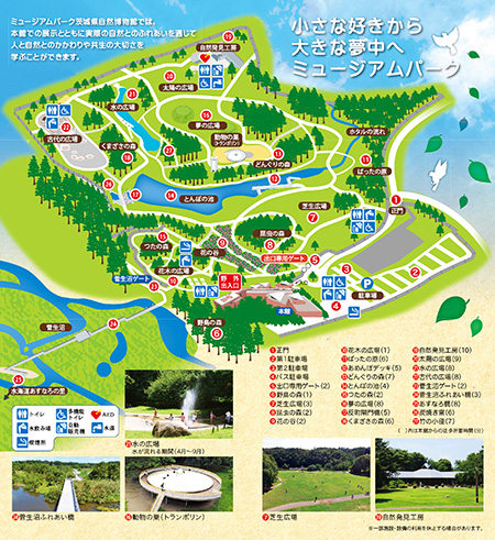 野外エリアのマップ/ミュージアムパーク茨城県自然博物館（坂東市）