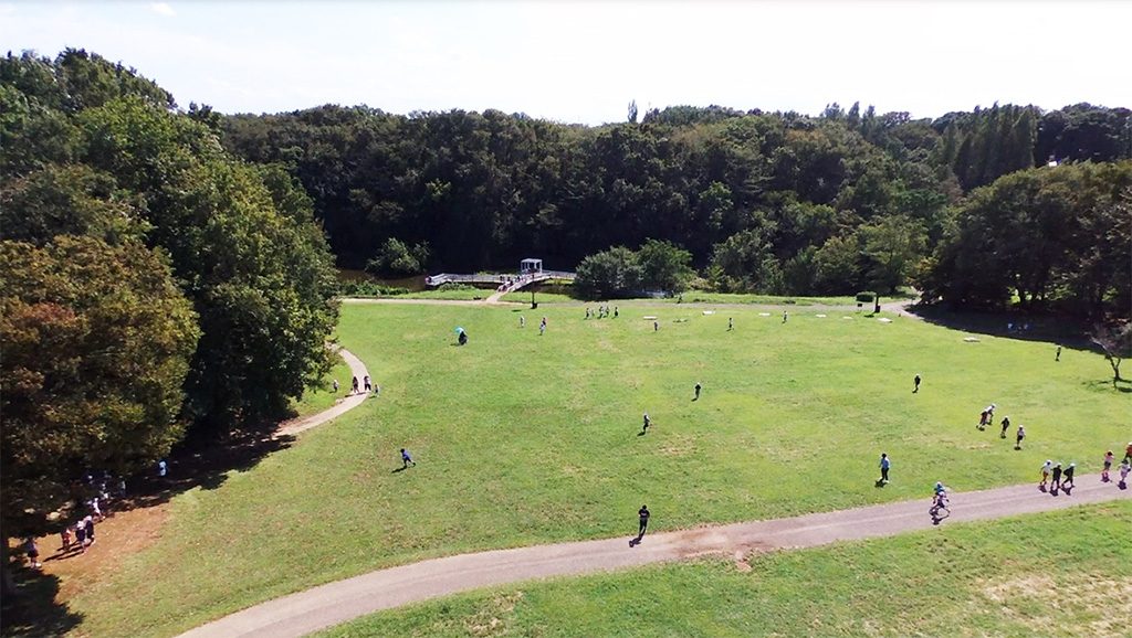 芝生広場/ミュージアムパーク茨城県自然博物館（坂東市）
