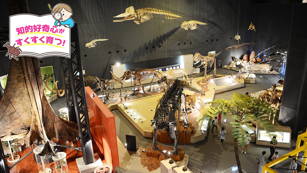 神奈川県立生命の星・地球博物館（小田原市）