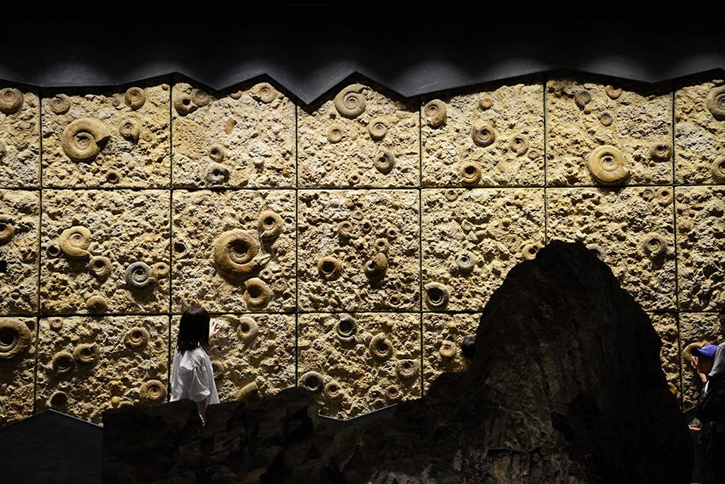 巨大なアンモナイトの壁/神奈川県立生命の星・地球博物館(小田原市)