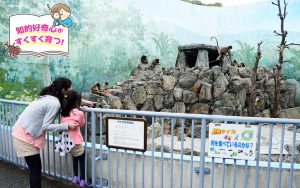 江戸川区自然動物園（東京都）は入園無料！ 小動物をじっくり観察＆動物クイズで興味倍増
