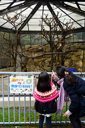 コモンリスザルの展示/江戸川区自然動物園（東京都）