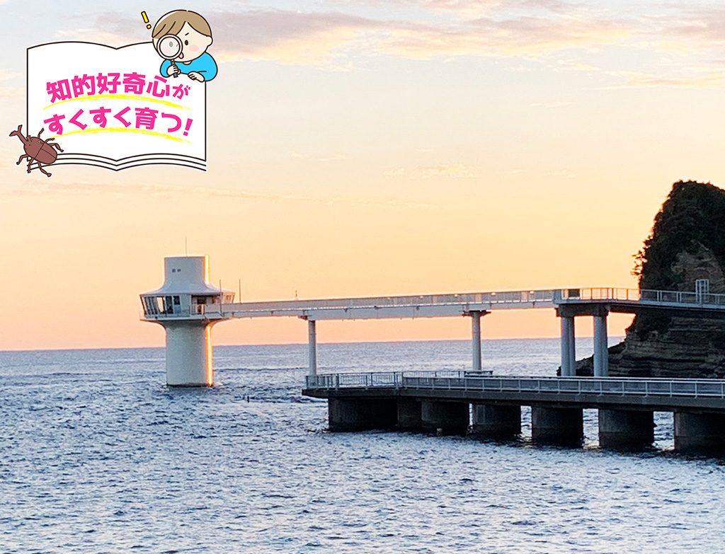 かつうら海中公園海中展望塔（千葉県/勝浦市）