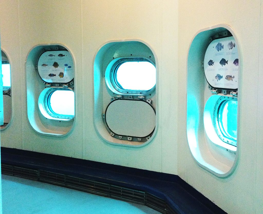 どんな魚が見られるかの解説がある/かつうら海中公園海中展望塔(千葉県/勝浦市)