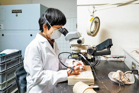 研究者の1日に密着:化石をクリーニング