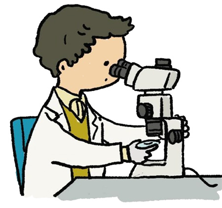 お仕事図鑑:研究者 イラスト4