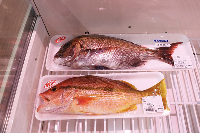 とれたて海産物/道の駅 むなかた（福岡県/宗像市）