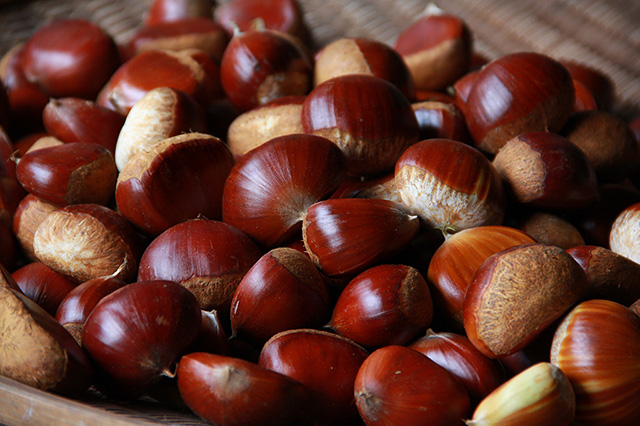 山鹿和栗/「道の駅 鹿北 小栗郷」(熊本県/山鹿市)