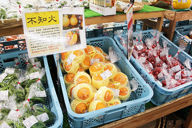 直売所「小栗館」/「道の駅 鹿北 小栗郷」(熊本県/山鹿市)