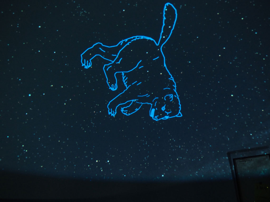 プラネタリウム/ロマンの森共和国(千葉県/君津市)