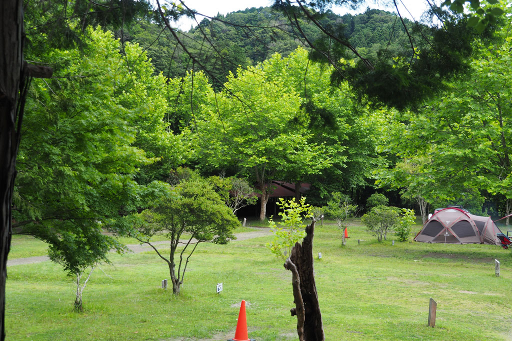 オートキャンプ場/ロマンの森共和国(千葉県/君津市)
