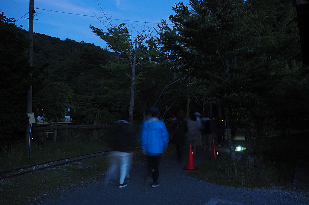 ホタルの谷へ移動/ロマンの森共和国(千葉県/君津市)