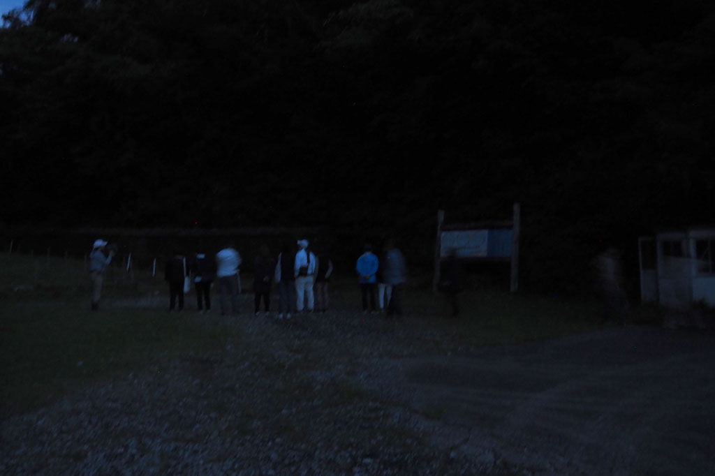 ホタルの谷へ到着/ロマンの森共和国(千葉県/君津市)