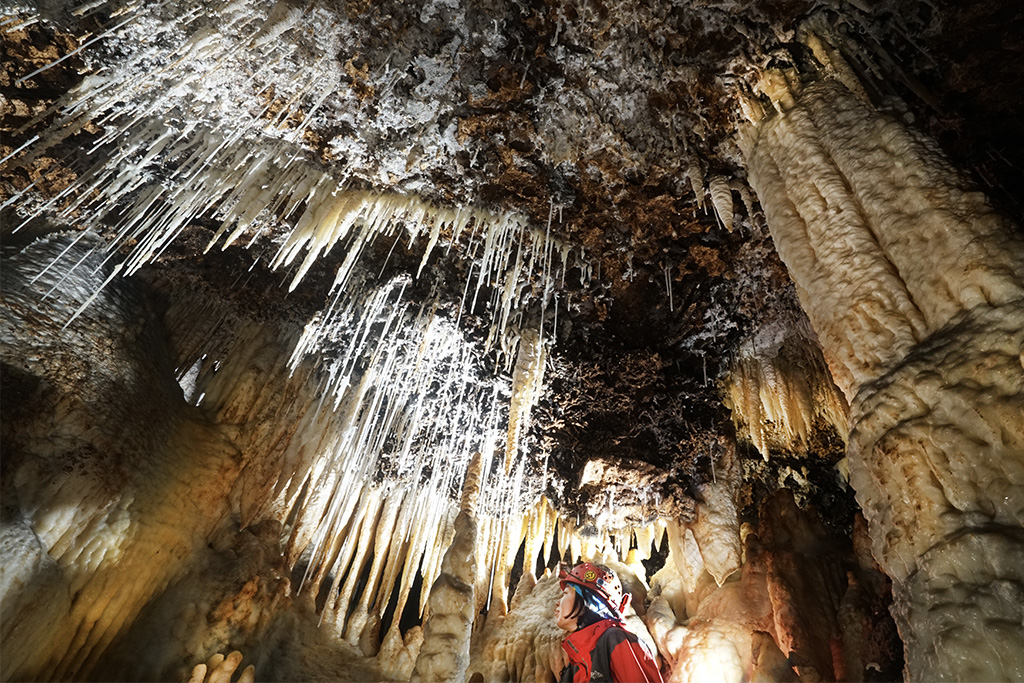 鍾乳管（しょうにゅうかん・ストロー）