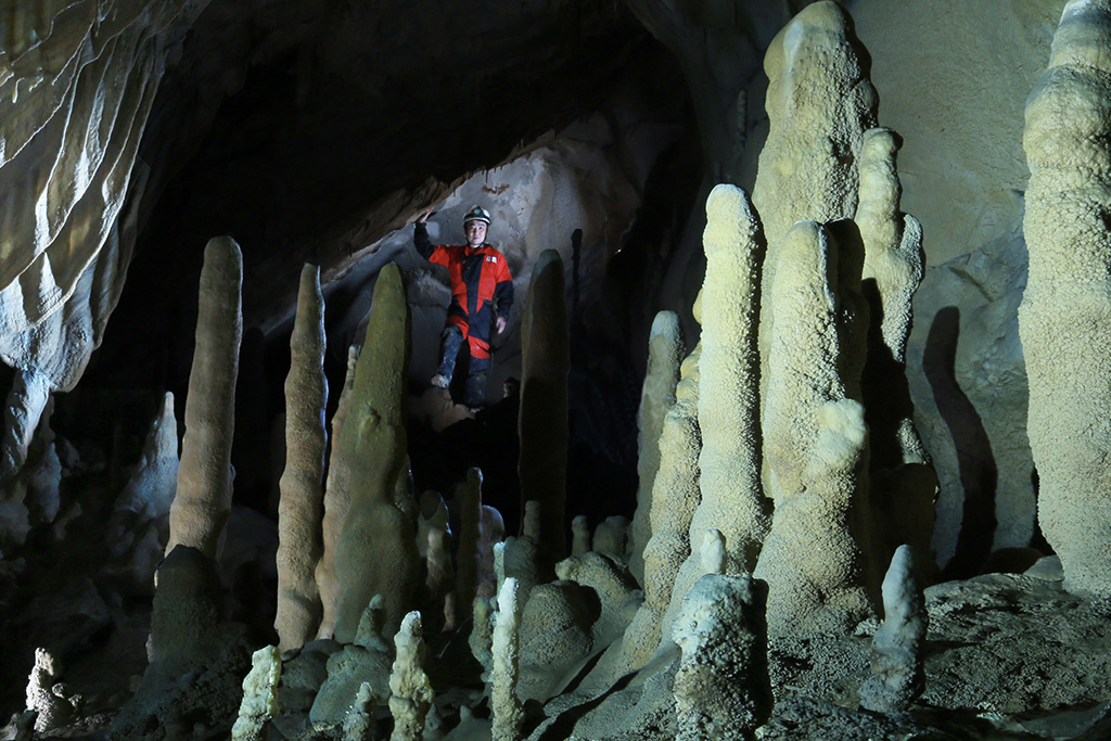 石筍（せきじゅん）