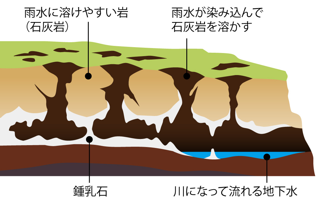 鍾乳洞のでき方のイラスト