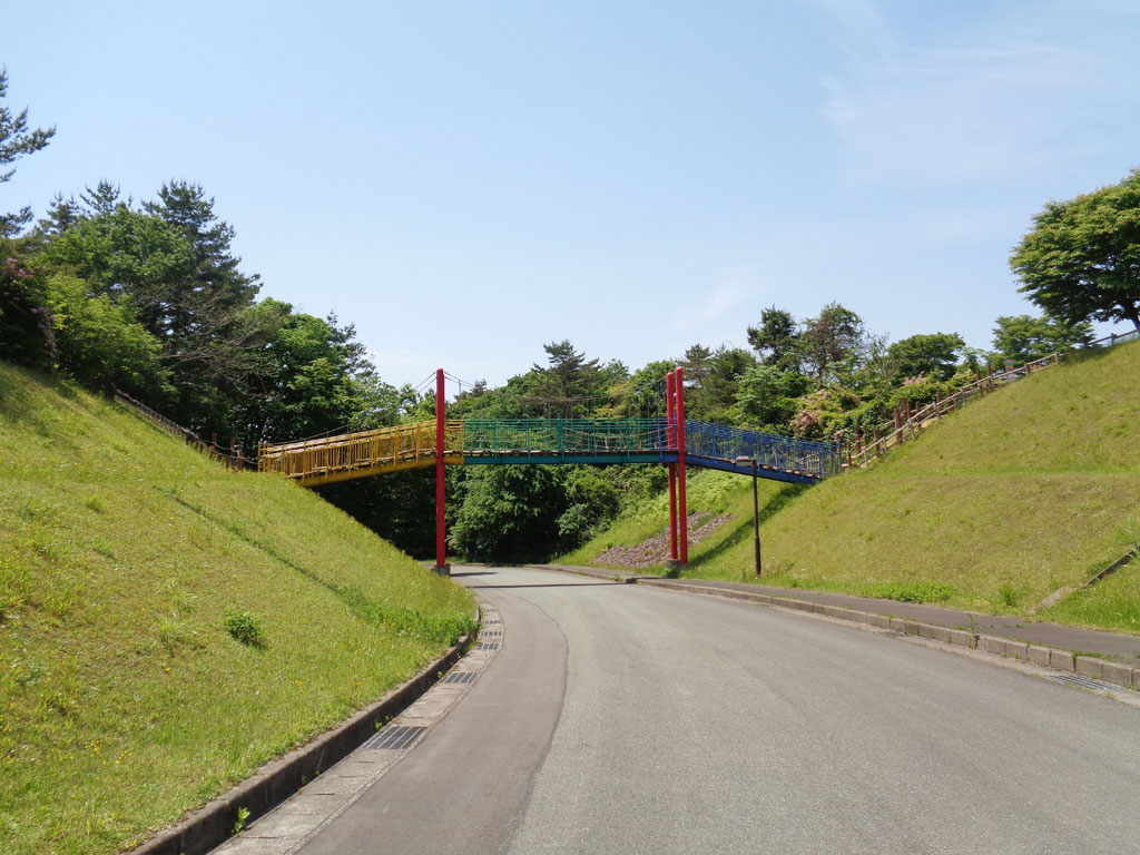アスレブリッジ／秋田県立中央公園フィールドアスレチック