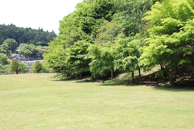 原っぱ広場/平成榛原こどものもり公園（奈良県/宇陀市）