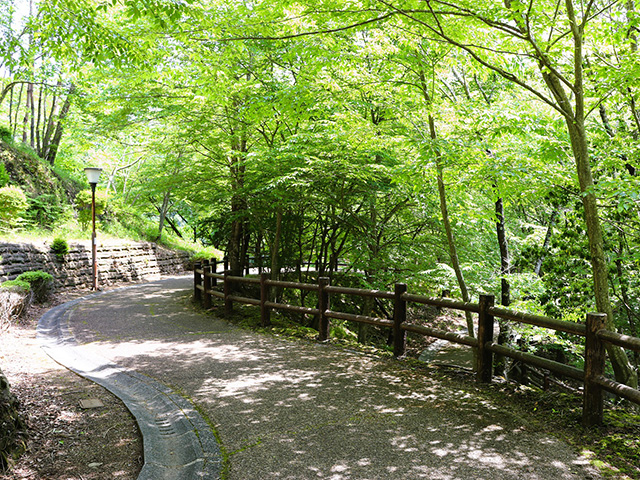 スロープのある敷地内/平成榛原こどものもり公園（奈良県/宇陀市）