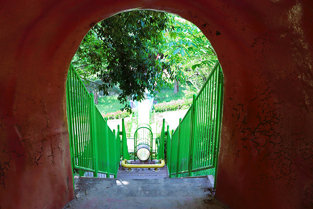 恐竜の国のアスレチック/平成榛原こどものもり公園（奈良県/宇陀市）